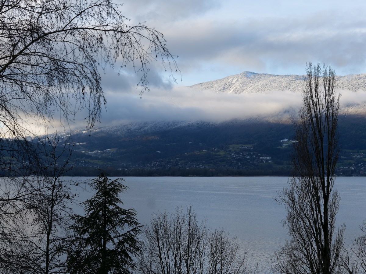 Bez strategii adaptacji do zmian klimatu biznes czekają trudne&nbsp;wyzwania